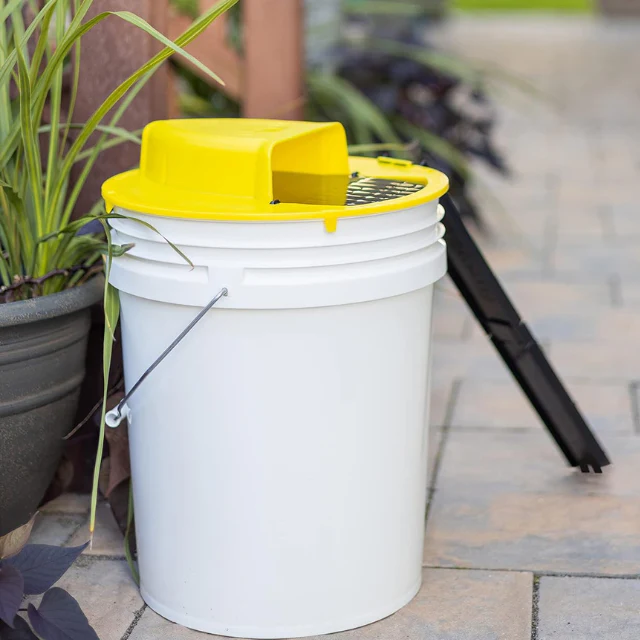Reusable Humane Bucket Mouse Trap