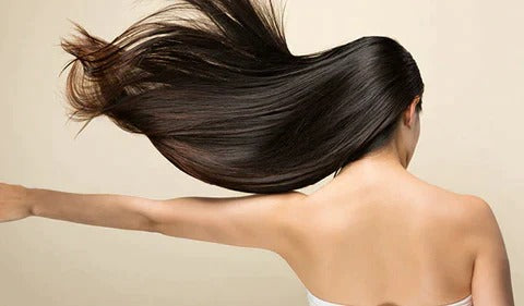 Ultra-Light Ionic Hair Dryer VIP