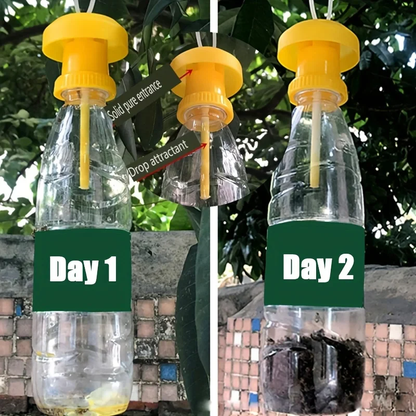 Fruit Fly Trap with Hanging Cover