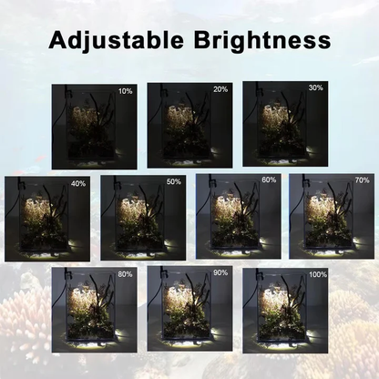 LED Light for Fish Tank