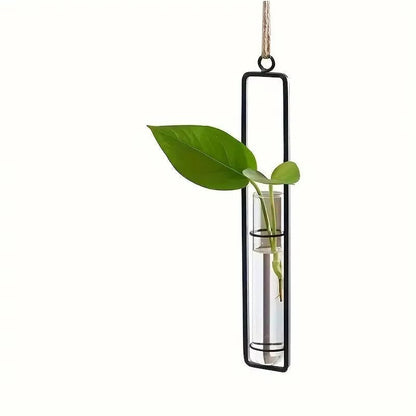Wall Hanging Propagation Station, Glass Test Tube Planter with Metal Frame and Rope for Indoor Plant Cuttings