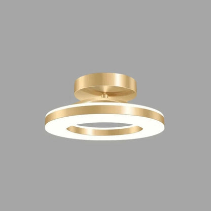 LED Ceiling Light Fixture