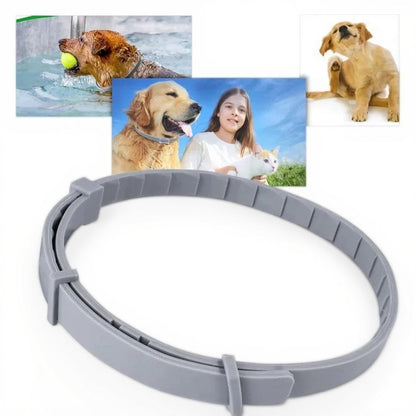 Adjustable Pet Flea and Tick Repellent Collar – For Dogs and Cats, Water-Resistant