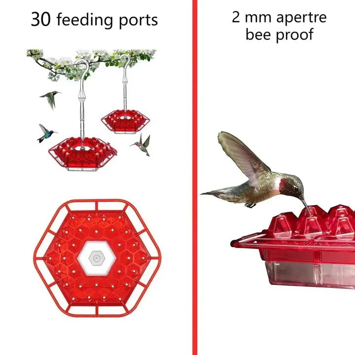 Hanging Hummingbird Feeder with Ant Guard and Resting Perch