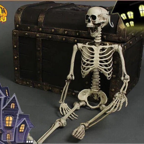 Anatomical Skeleton Decoration, Life-Size