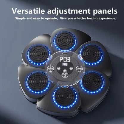 Boxing Machine Wall Target with Music and USB Rechargeable