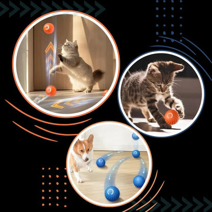 Interactive Dog Ball Toy for Chasing and Avoidance Play