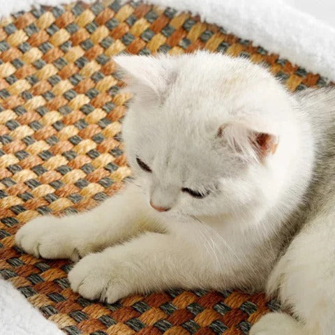 Scratch Board for Cats Cardboard and Sisal Material