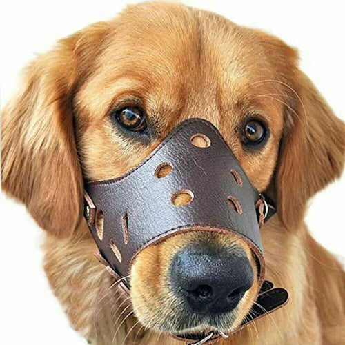 Dog Muzzle Breathable and Adjustable for Grooming and Walking