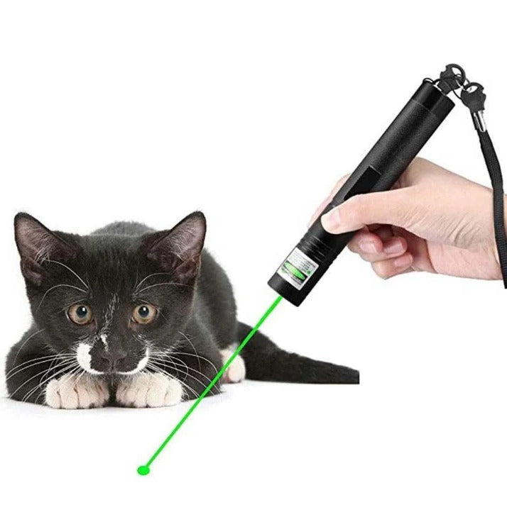 Laser Pointer 303, Dual Beam Light, Long Range Green Red, Rechargeable Battery