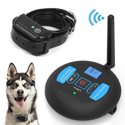 Dual Wireless Boundary and Remote Outdoor Trainer