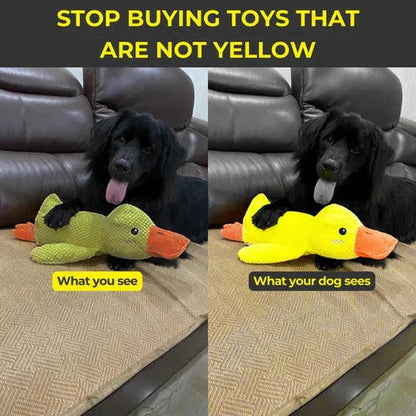 Serene Quacker Friend and Soothing Canine Plush