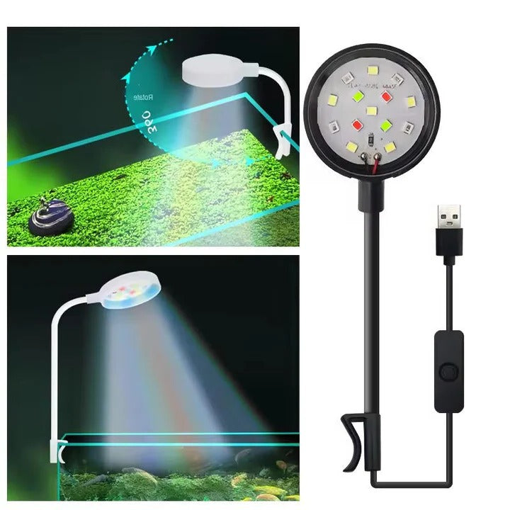 Light for Fish Tank